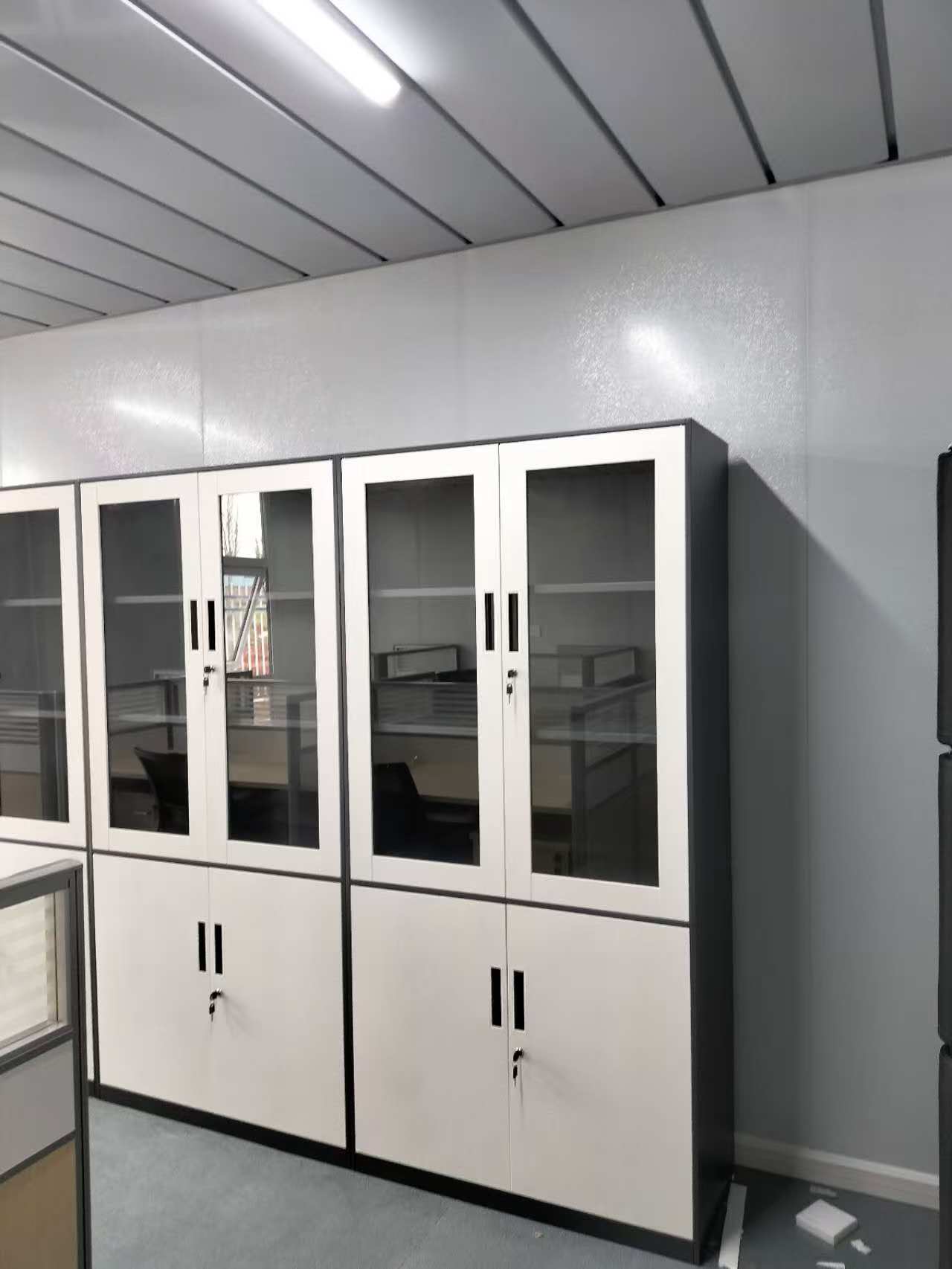 Moderne stijl stalen archiefka - Office Furniture Cabinets recensie en prijs